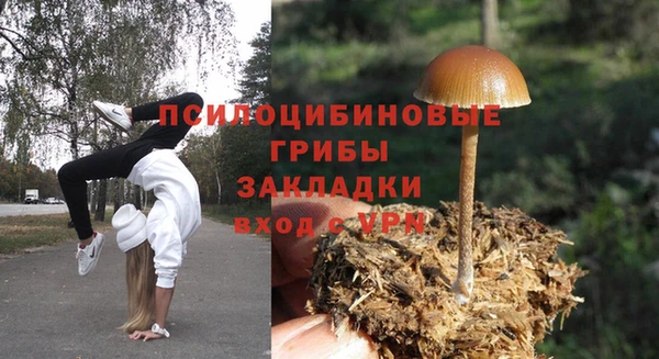 таблы Алексеевка