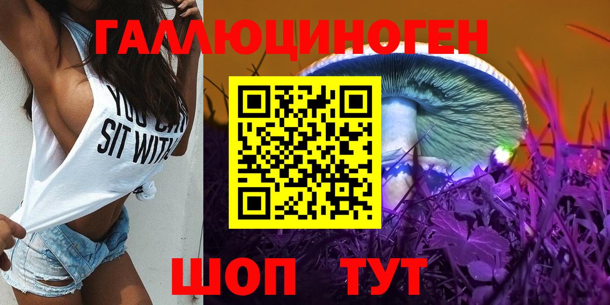 Искитим  Галлюциногенные грибы Psilocybe  Галлюциногенные грибы мухоморы  Вход с VPN 