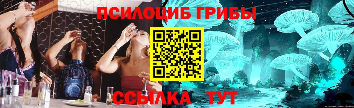 Галлюциногенные грибы прущие грибы Искитим